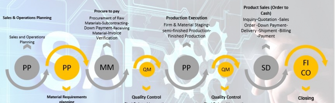 اجرای تست یکپارچگی سیستم SAP ERP در شرکت دقیق شیمی