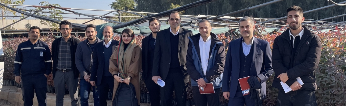 شروع پیاده سازی سیستم SAP S/4HANA 2023  در گروه صنعتی پاک چوب خوزستان و تخته فشرده