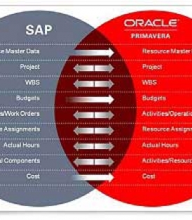 ارتباط بین نرم افزارهای SAP و Primavera در تیرماه سال 1395
