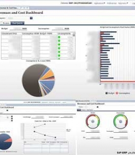 پروژه BI سامه آرا – دشبرد ساخته شده با ابزار SAP Dashboards 4.1 در خرداد ماه سال 1395