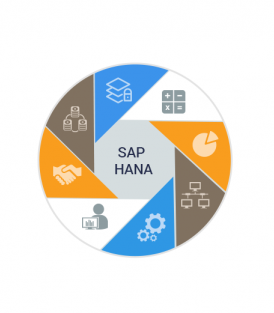 اجرایی شدن سیستم SAP ERP ورژن S4HANA در گروه صنعتی بارز در تیرماه سال 1398